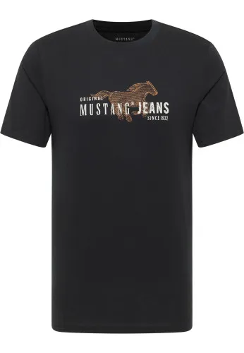 Футболка Austin