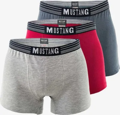 Трусы (набор 3 шт.) Mustang retro 3 pc pack