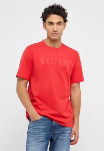 Футболка Austin