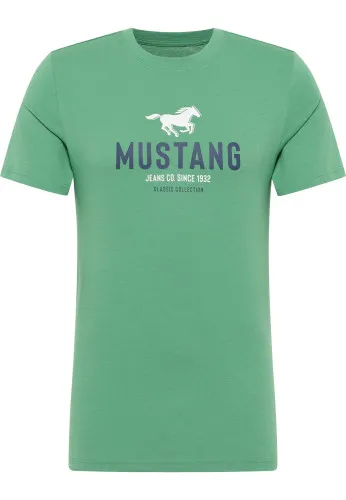 Футболка Austin