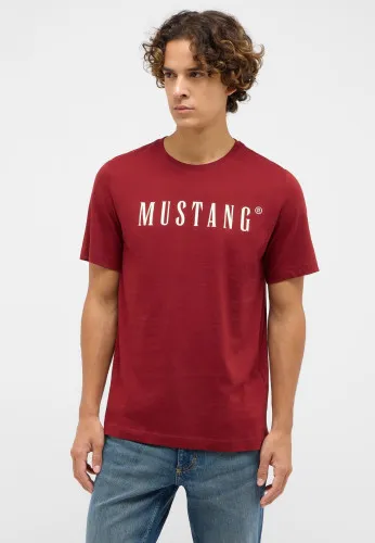 Футболка Austin