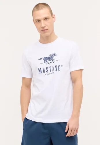 Футболка Austin