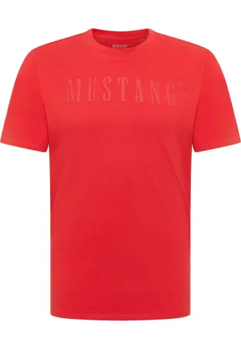 Футболка Austin