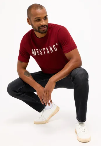 Футболка Austin