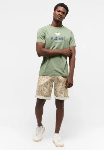 Шорты Amsterdam Shorts