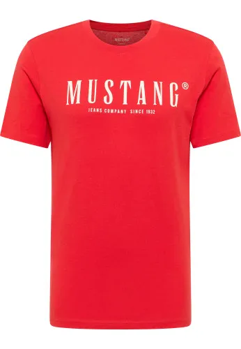 Футболка Austin